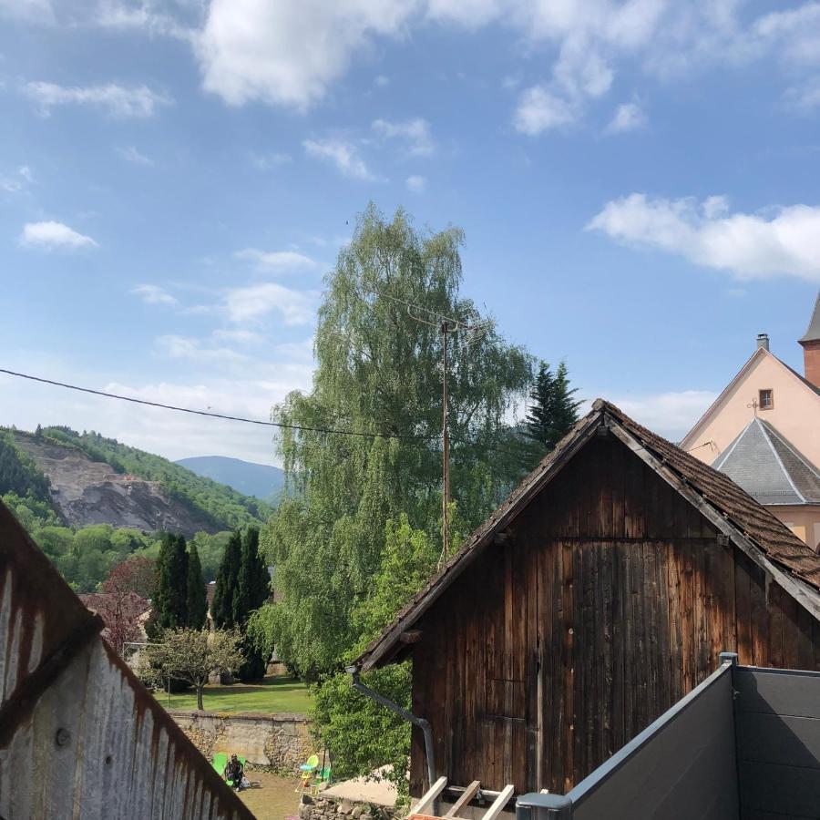 Appartement Vintage A L Ancienne Forge Muhlbach-sur-Munster المظهر الخارجي الصورة