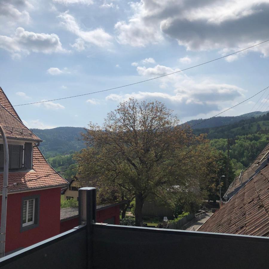 Appartement Vintage A L Ancienne Forge Muhlbach-sur-Munster المظهر الخارجي الصورة